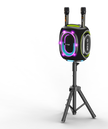 Parlante Bluetooth ThunderBass Max G-TiDE Potente 9000mAh Luces RGB BT 5.3